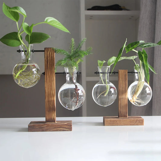 Maceta De Cristal Creativa Para Escritorio, Florero Con Bombilla, Soporte De Madera, Contenedor De Plantas Hidropónicas, Jarrones De Decoración De Mesa Para El Hogar